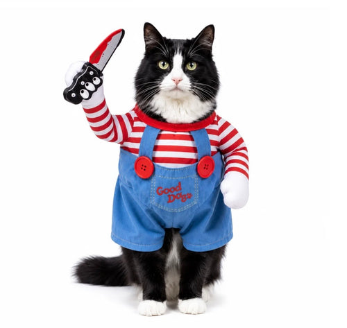 Costume